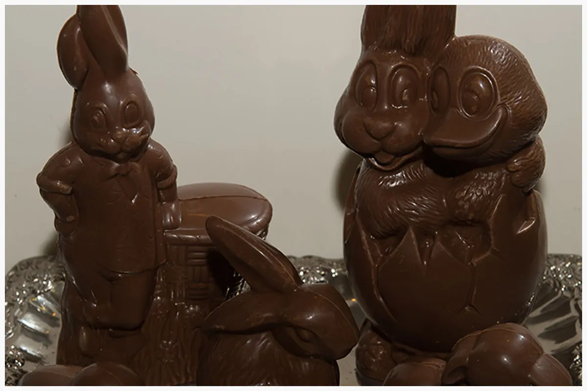 Animaletti di cioccolato